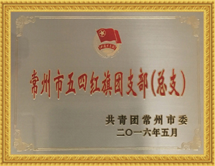2016年五四紅旗團(tuán)支部