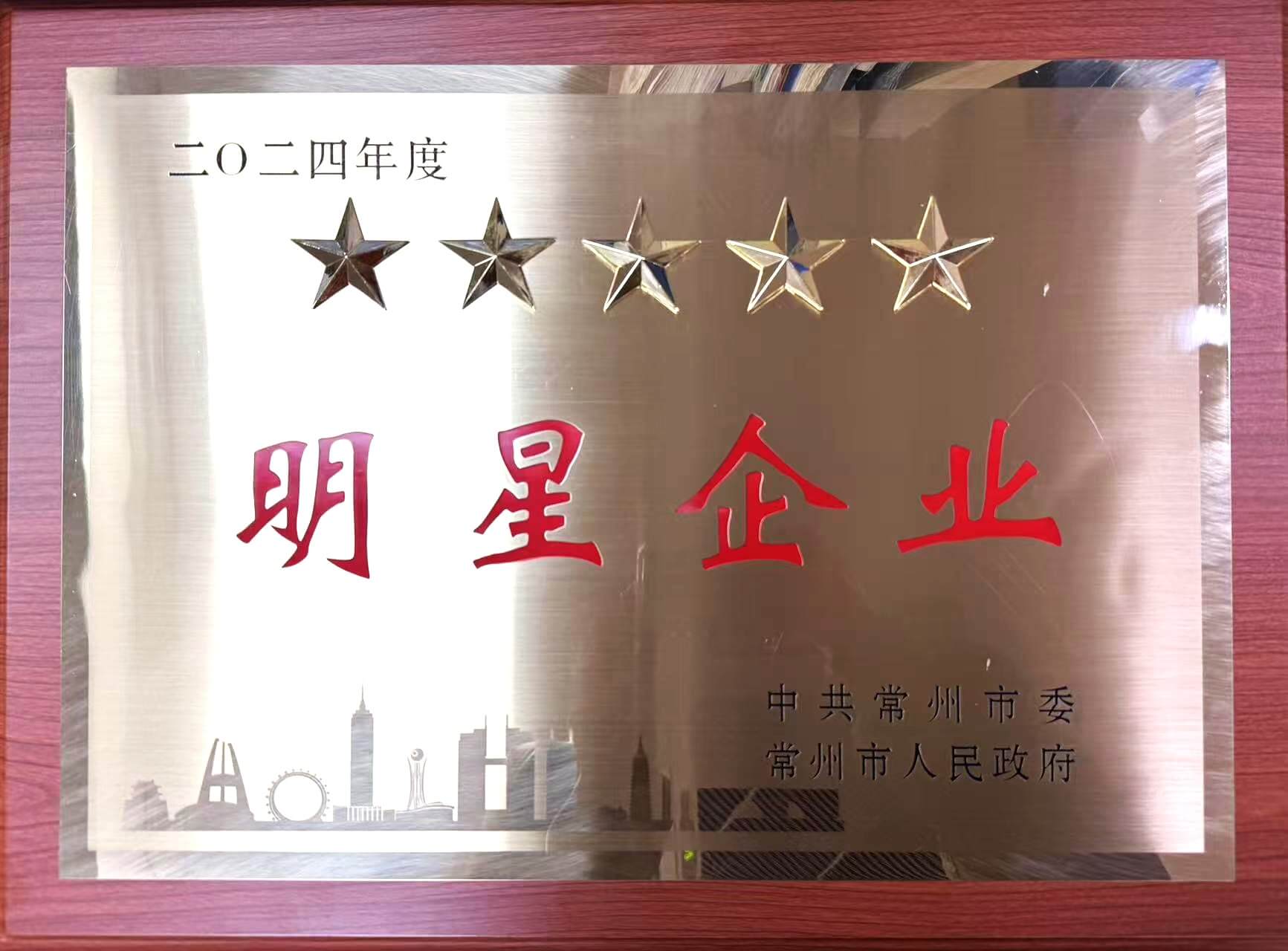 1741055173174670.jpg 2024年度常州市現(xiàn)代服務(wù)五星企業(yè)獎(jiǎng)牌.jpg